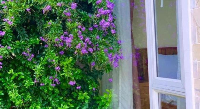 La Roza Dalat Boutique Hotel ภายนอก รูปภาพ