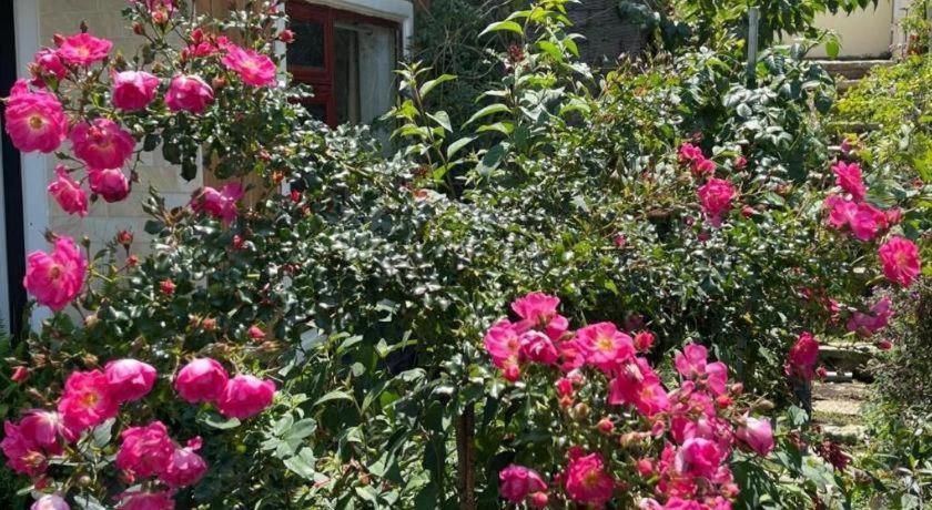 La Roza Dalat Boutique Hotel ภายนอก รูปภาพ